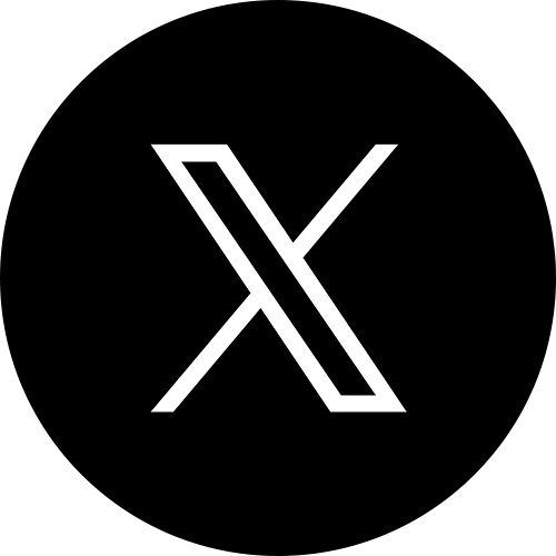 x icon