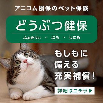 05_アニコム損保のペット保険の詳細はこちら