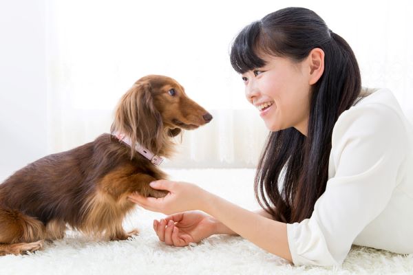 犬との接し方～愛犬の気持ちに寄り添ってうまく付き合おう～